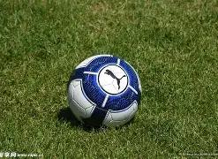 高途荣获微,博颁发,年度标杆教,开云体育,开云体育官网,开云体育app,开云体育平台,KAIYUN,SPORTS,kaiyun登录入口