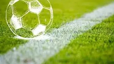 开云体育app官网下载地址