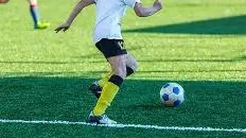 开云体育app官网下载地址 产品 133318 2pd