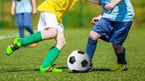 开云体育app官网下载地址 产品 133306 nb1