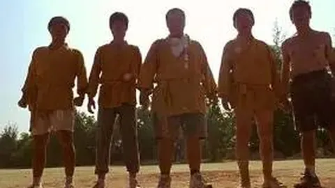 开云体育app官网下载地址 资讯 133616 ed5