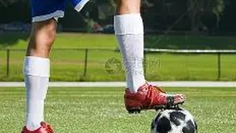 开云体育app官网下载地址 产品 100449 hwo